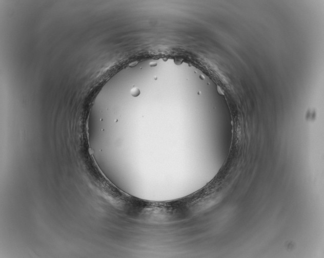 X0000093510211200710261205