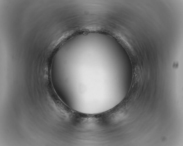 X0000093510212200710261205