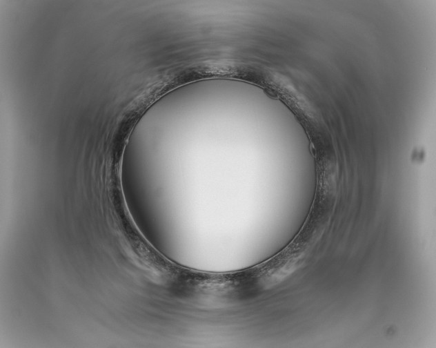 X0000093510213200710261205