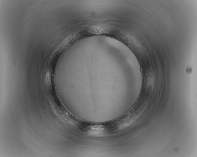 X0000093510214200710261205