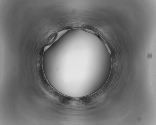 X0000093510215200710261205