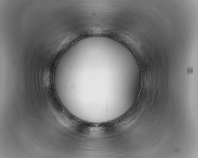 X0000093510216200710261205