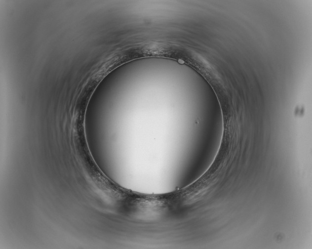 X0000093510217200710261205