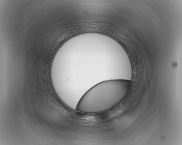 X0000093510219200710261205