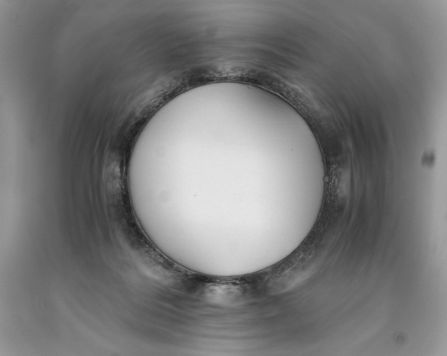 X0000093510220200710261205