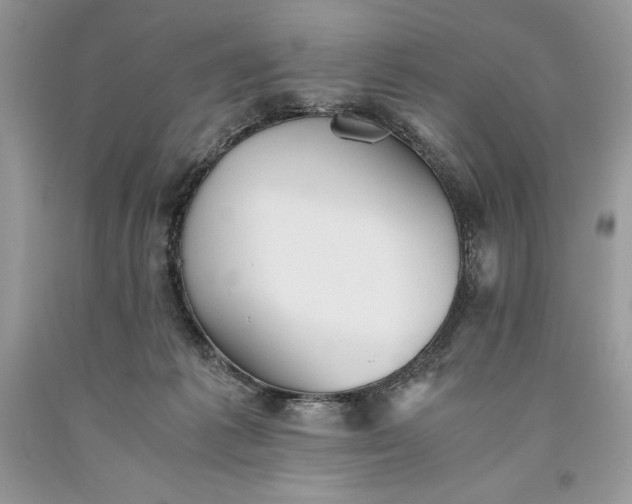 X0000093510221200710261205