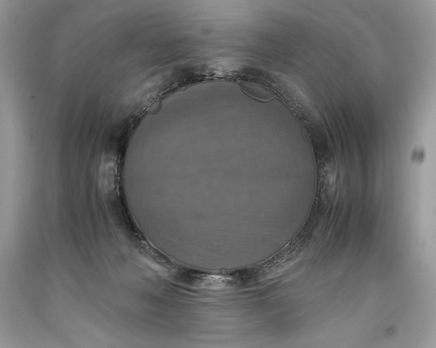 X0000093510222200710261205