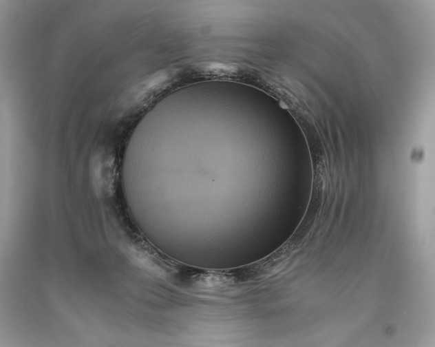 X0000093510223200710261205