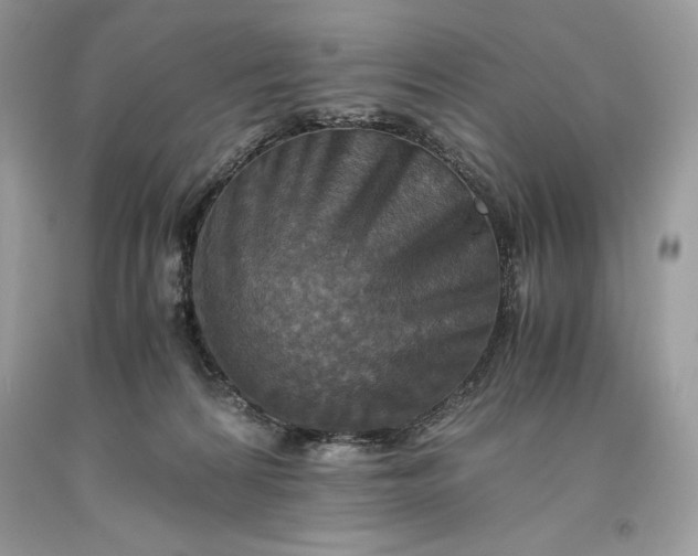 X0000093510224200710261205