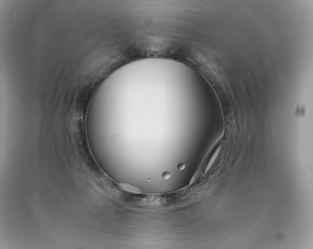 X0000093510225200710261205