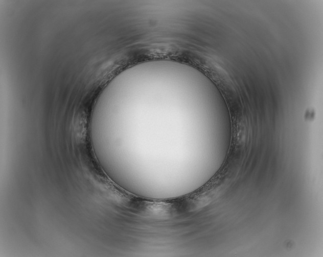 X0000093510226200710261204