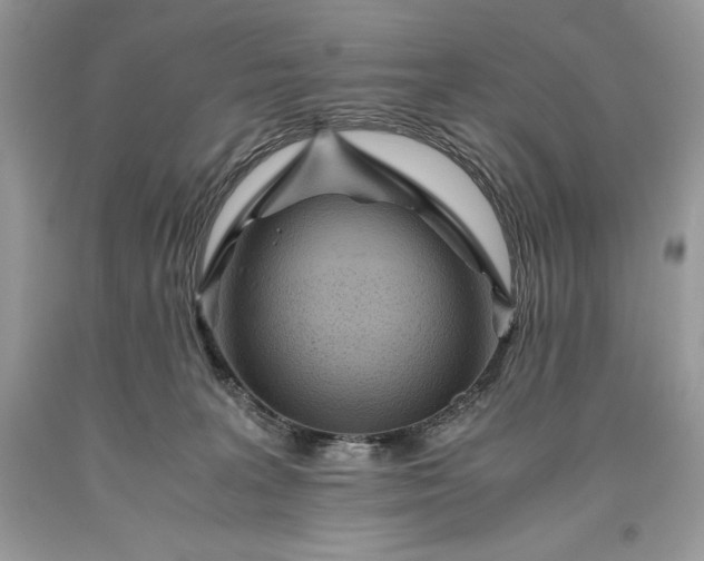 X0000093510227200710261204