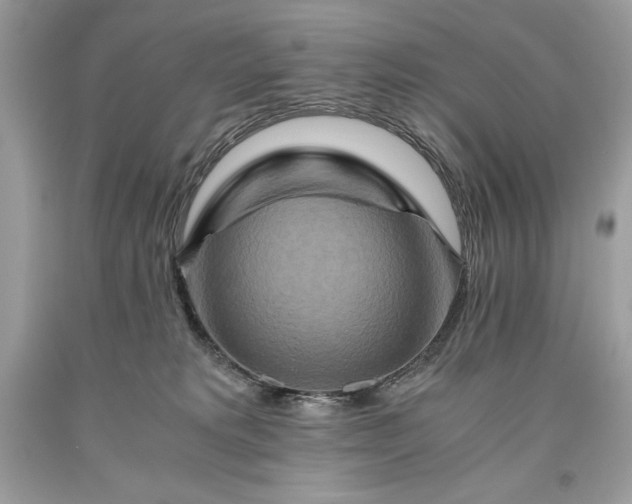 X0000093510229200710261204