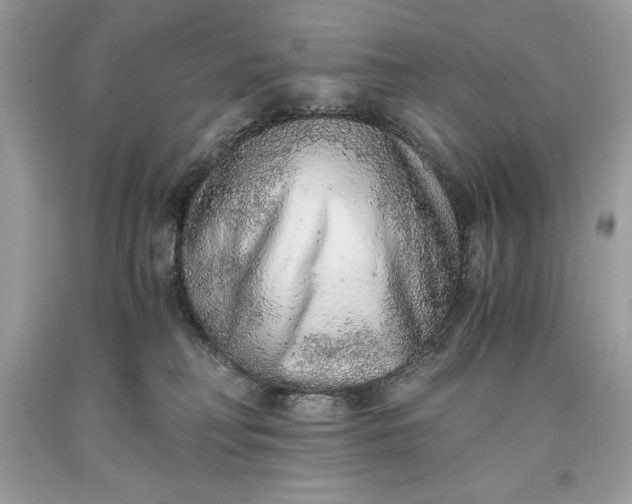 X0000093510230200710261204