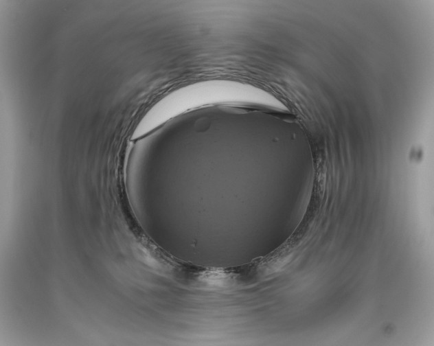 X0000093510231200710261204