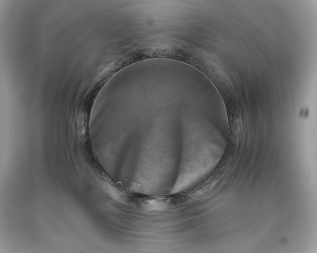 X0000093510232200710261204