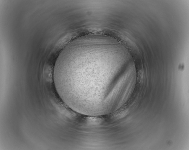 X0000093510234200710261204