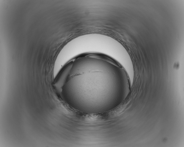 X0000093510235200710261204