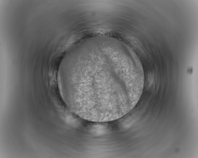 X0000093510236200710261204