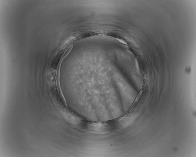 X0000093510237200710261204