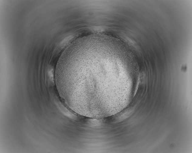 X0000093510238200710261204