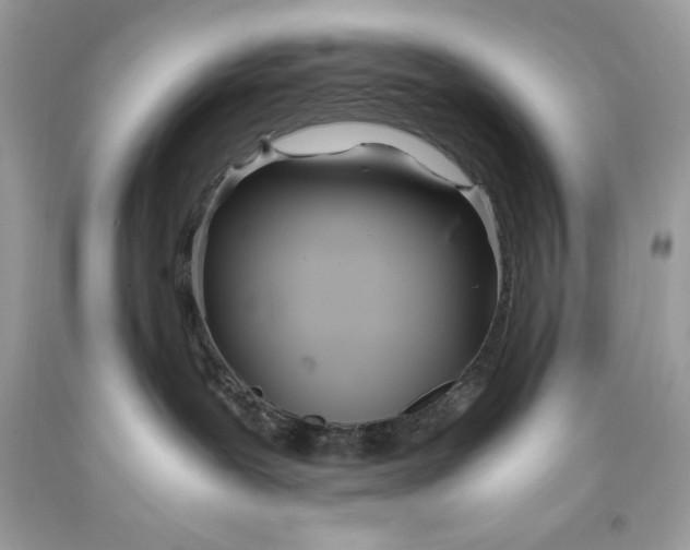 X0000093510239200710261204