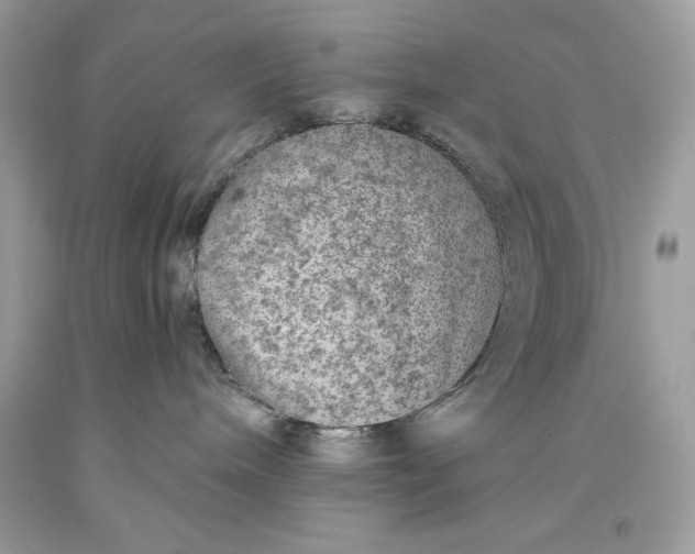 X0000093510240200710261204