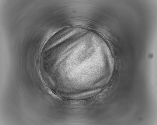 X0000093510241200710261204