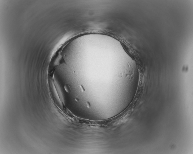 X0000093510244200710261204