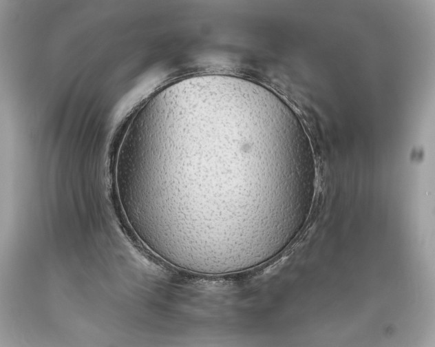 X0000093510245200710261204