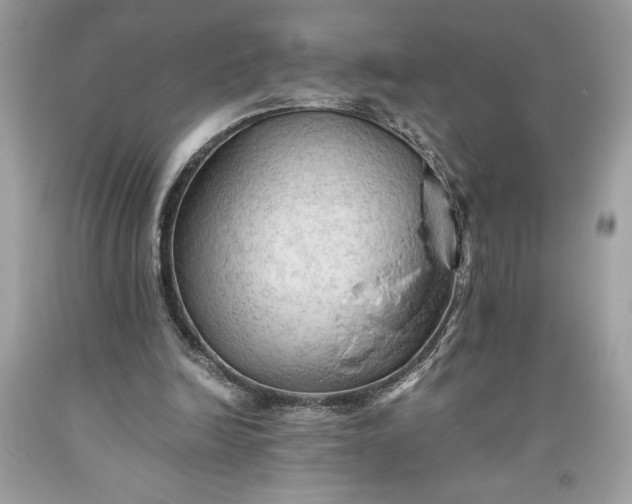 X0000093510246200710261204