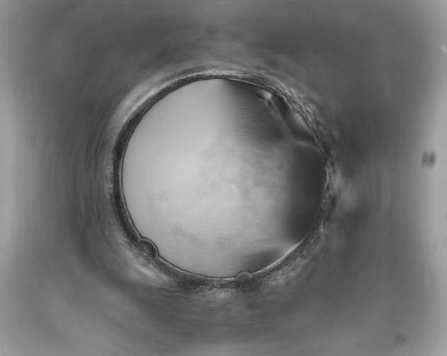 X0000093510247200710261204