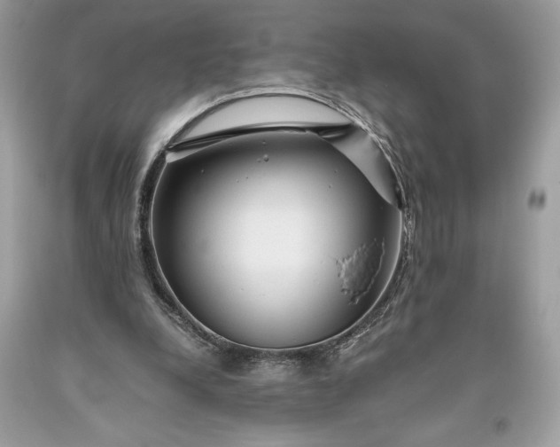 X0000093510248200710261204