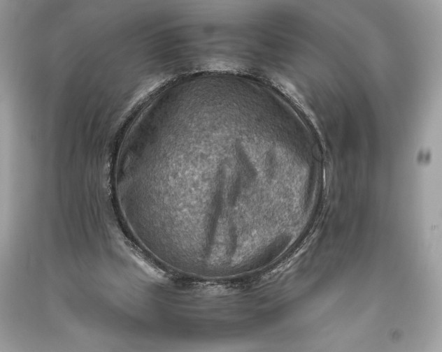 X0000093510249200710261204