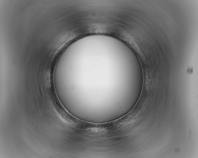 X0000093510251200710261204