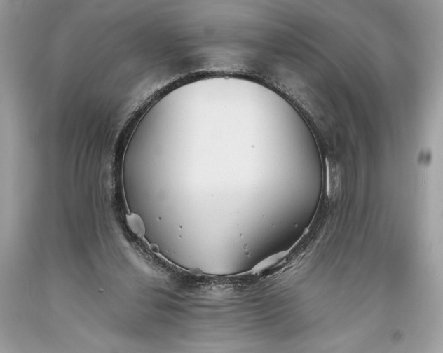 X0000093510252200710261204