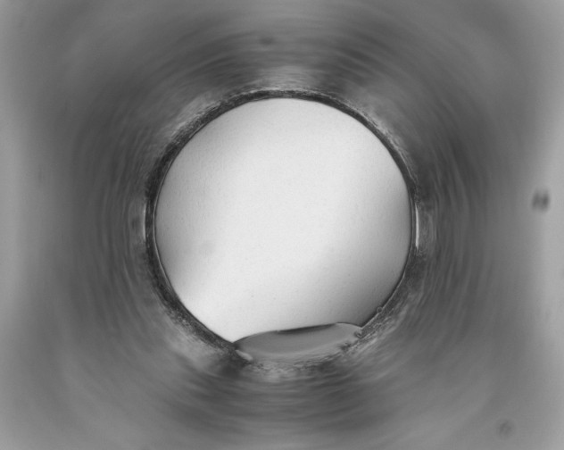 X0000093510253200710261204