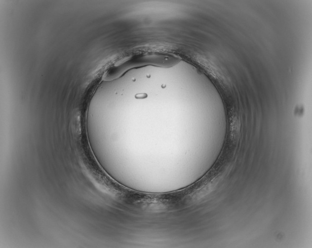 X0000093510254200710261204