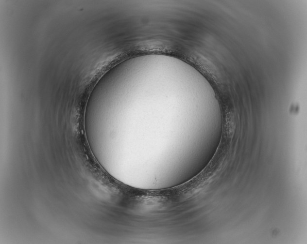 X0000093510255200710261204