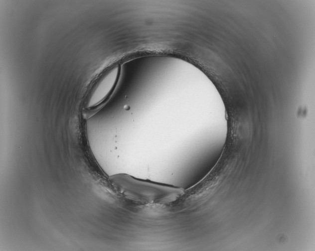 X0000093510256200710261204