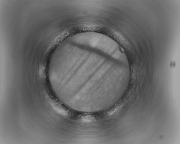 X0000093510258200710261204