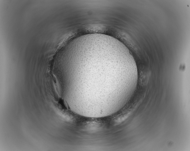 X0000093510259200710261204