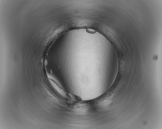 X0000093510260200710261204