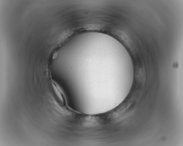 X0000093510261200710261204