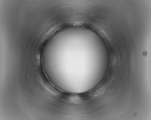 X0000093510262200710261204