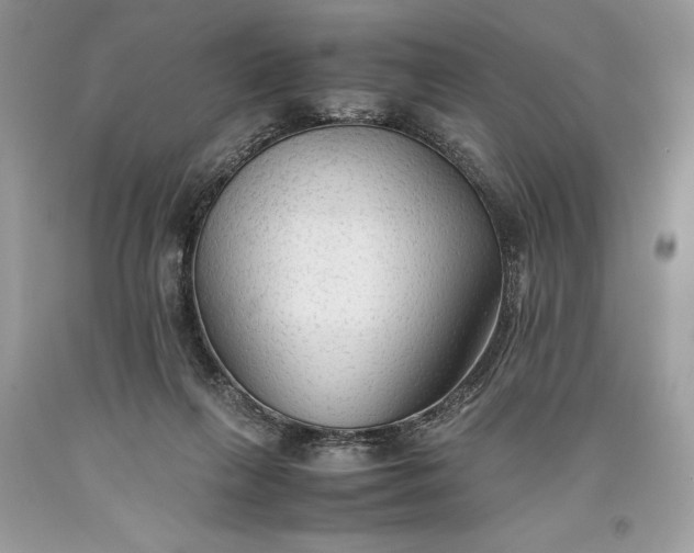 X0000093510263200710261204