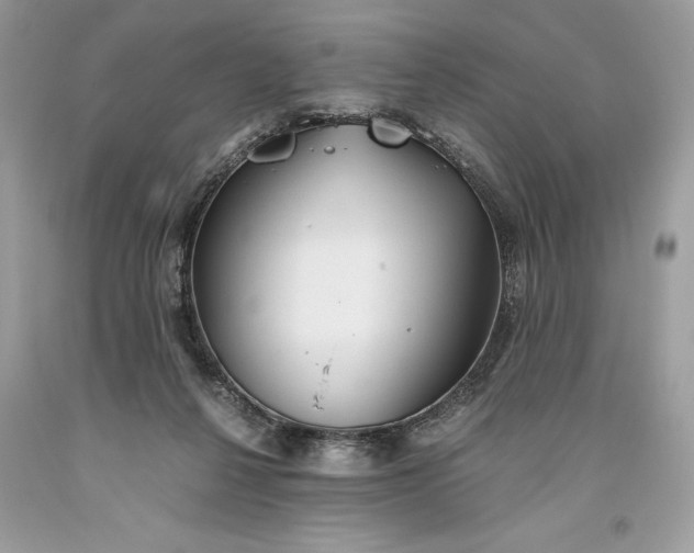 X0000093510264200710261204