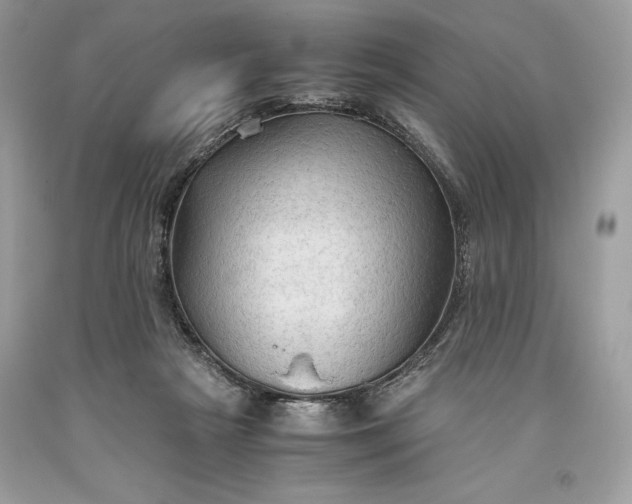 X0000093510265200710261204