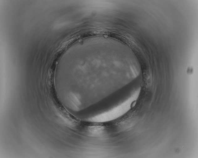 X0000093510266200710261204