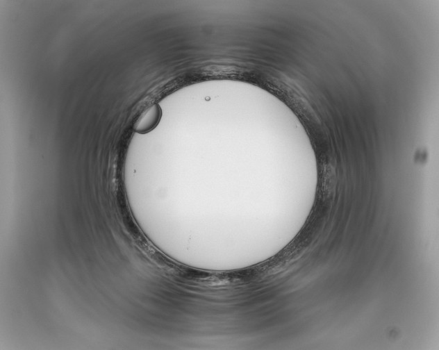 X0000093510267200710261204